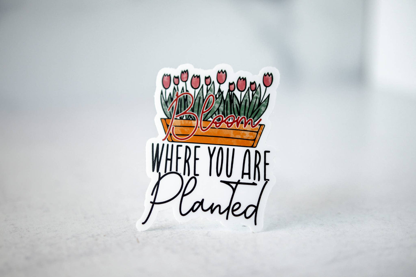 Bloom Where You Are Planted, Vinyl Sticker, 3x3 in.