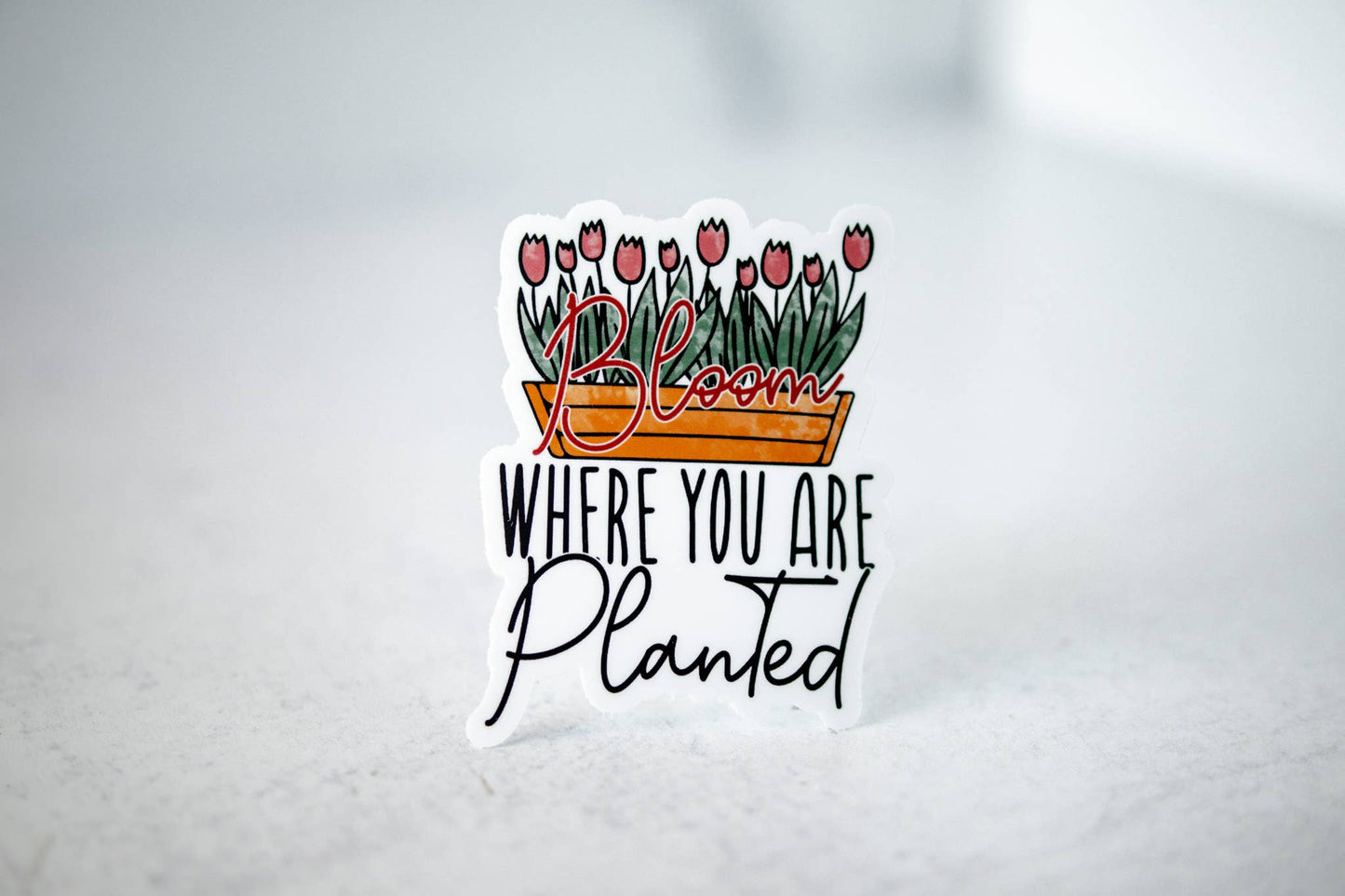 Bloom Where You Are Planted, Vinyl Sticker, 3x3 in.