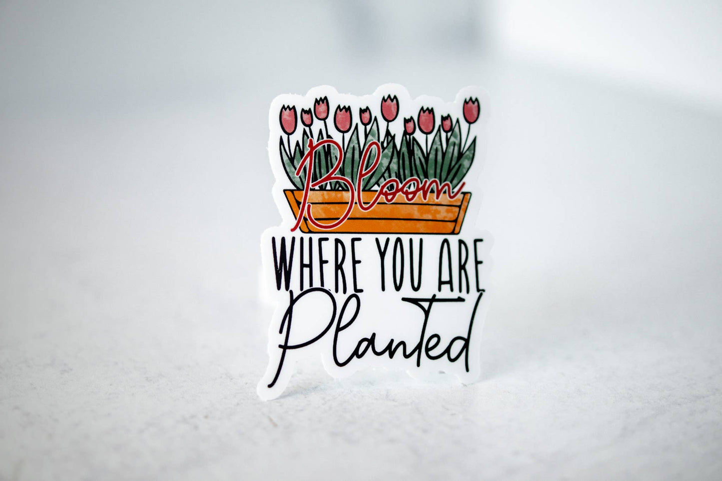 Bloom Where You Are Planted, Vinyl Sticker, 3x3 in.