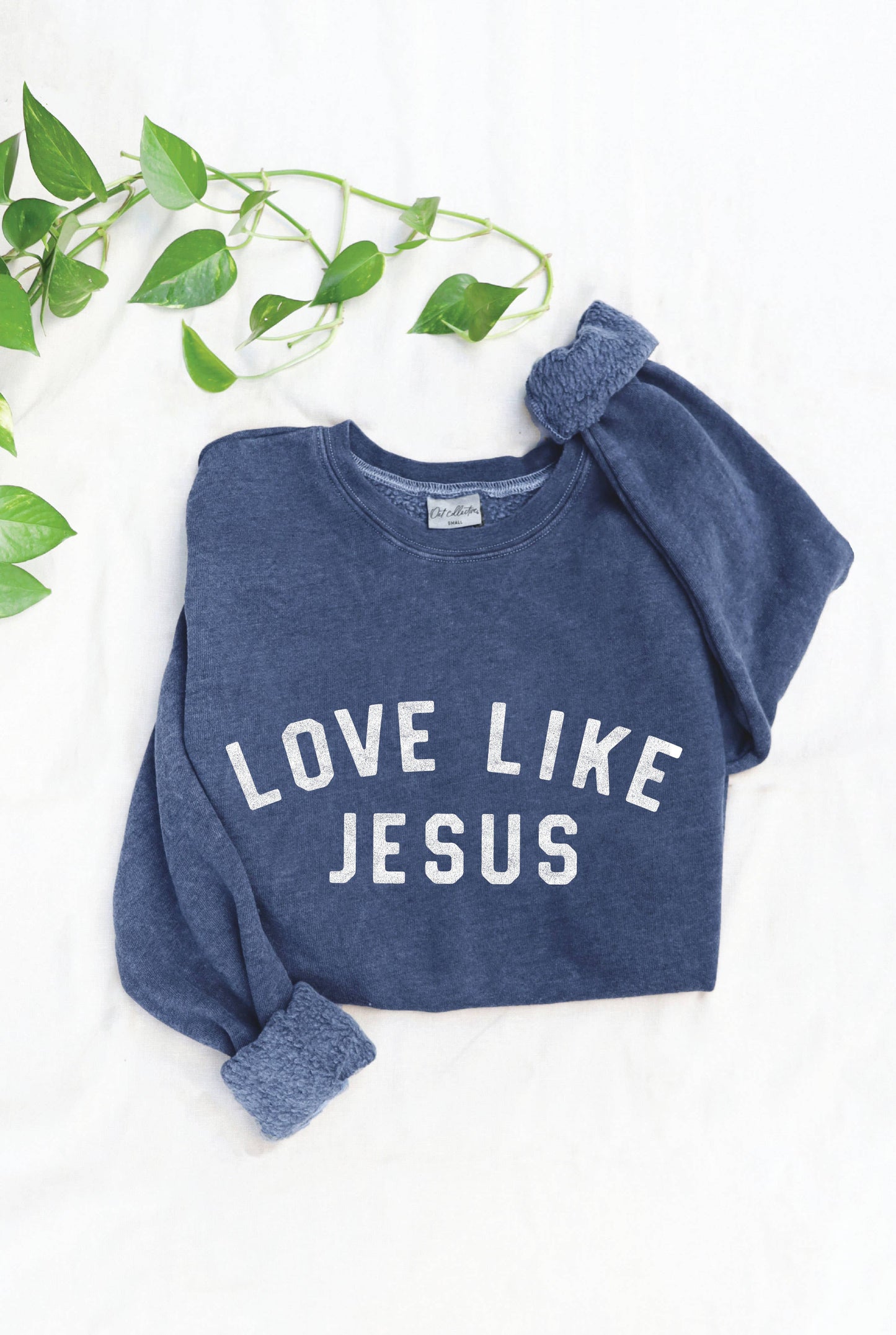 LOVE LIKE JESUS Mineral Graphic Sweatshirt: S / DUSTY FOREST