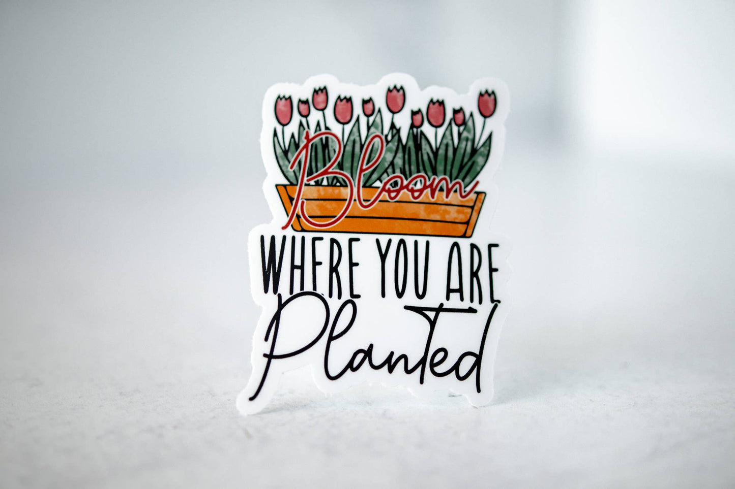 Bloom Where You Are Planted, Vinyl Sticker, 3x3 in.