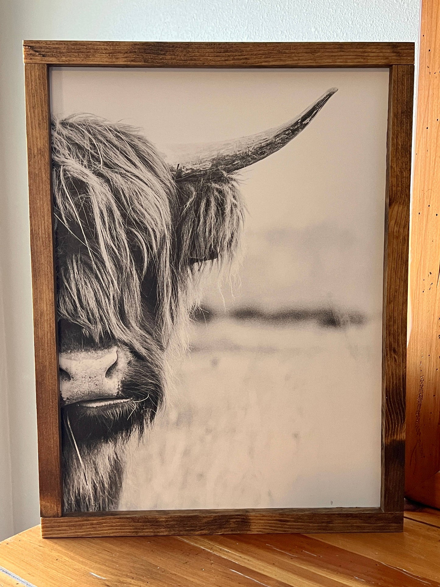 Highland Cow Side