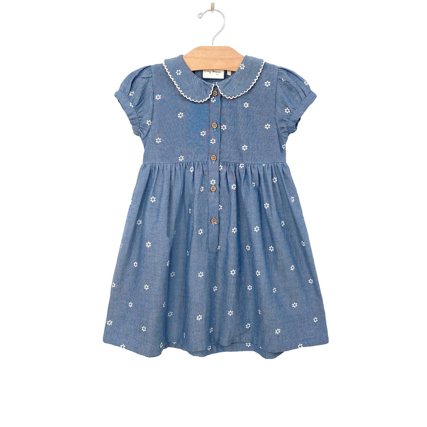 Round Collar Dress- Daisies