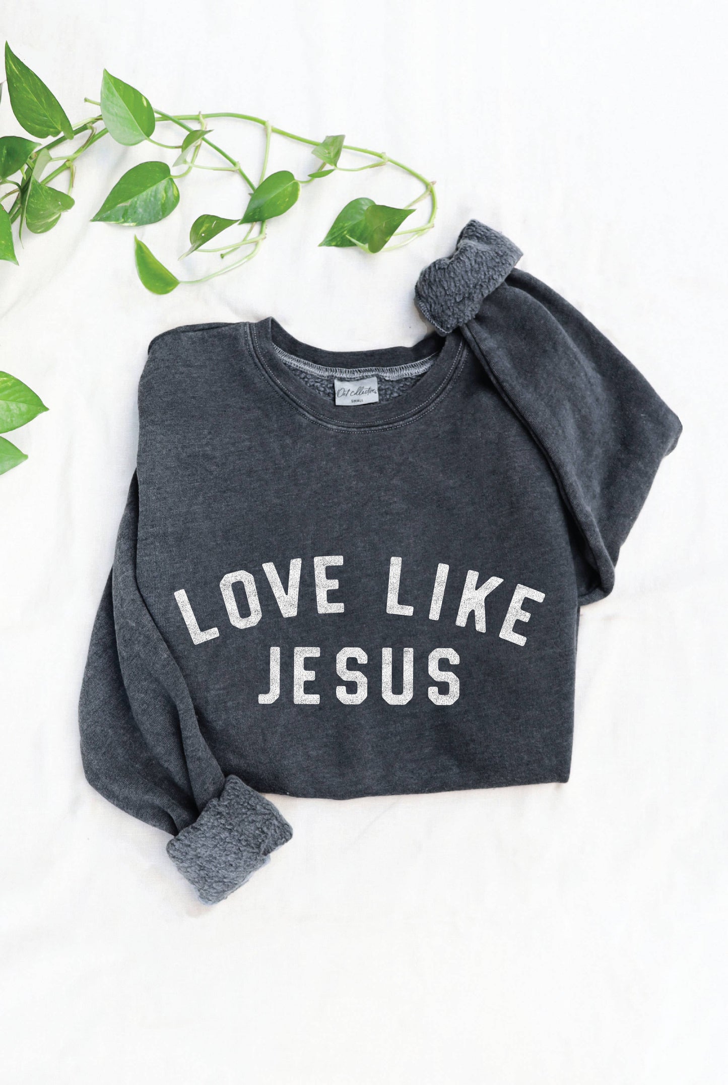LOVE LIKE JESUS Mineral Graphic Sweatshirt: S / DUSTY FOREST