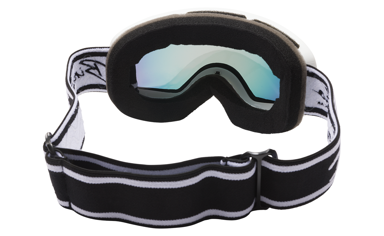 Snow Goggles